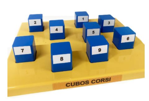 Jogo Cubos de Corsi Azul